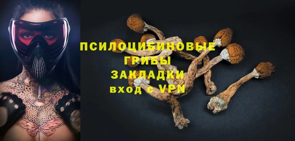 герыч Вяземский