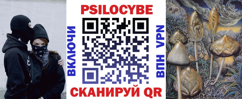 Псилоцибиновые грибы мицелий  Купить где  Майский 